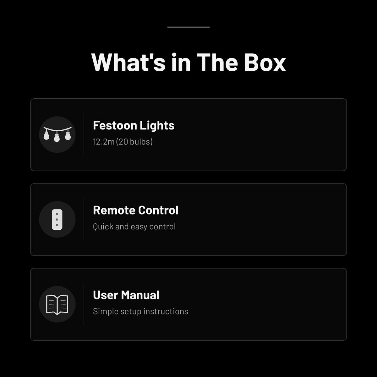 Zyko Smart Festoon Lights box contents including the festoon light string, remote control and user manual